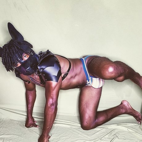 GRIZZLY star du porno photos