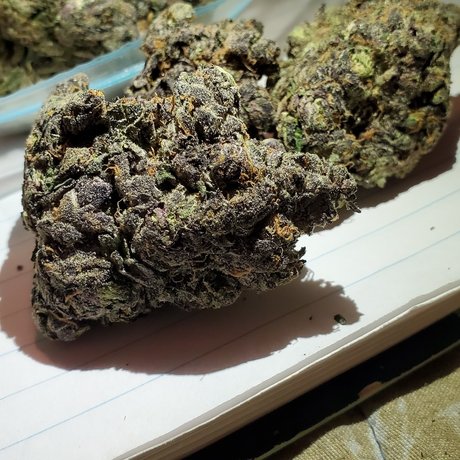 Crunchtyme Ent_ sexe de star du porno galeries