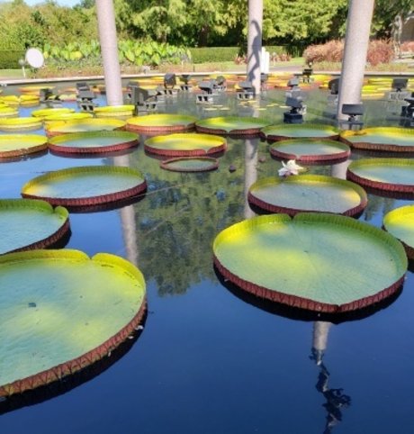 PuckDaddy actrice libre image