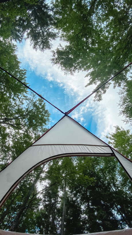 Portland bears étoile img