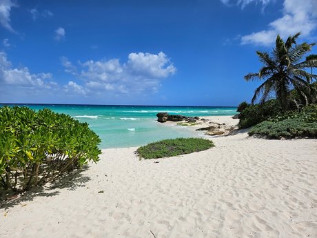 Jamie and Jake xxx étoile galeries