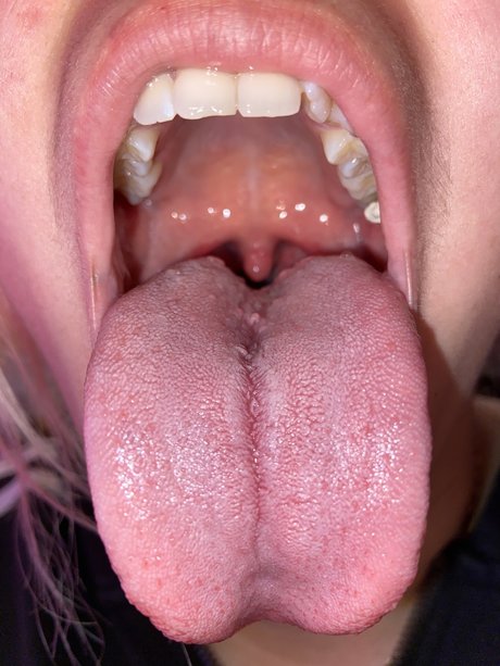 princesuvula belle étoile image