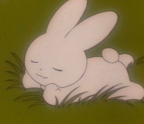 SPICE étoile de haute qualité collection