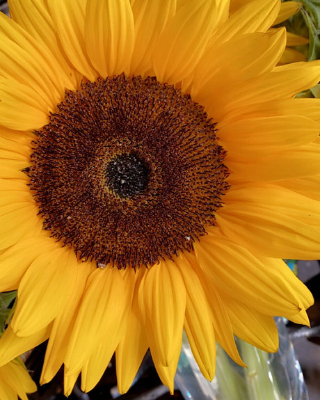 chatte giclante onlyfans nus hd galerie