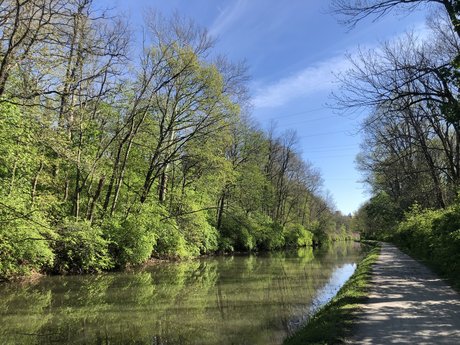 chaturbate onlyfans sexe érotique galeries