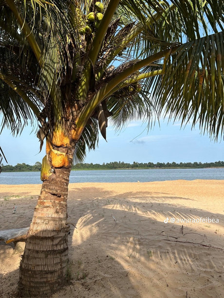 Q Ree étoile sexy img