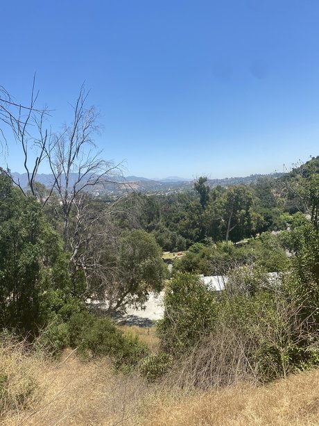 Pu y Princess_ star exclusive collection