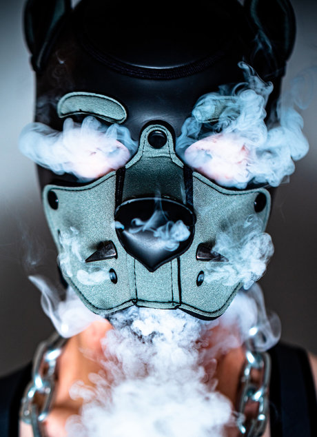 PupLeech étoile adulte photos