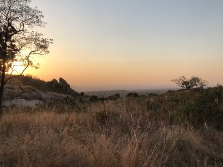 Blonde and Horny belle actrice image