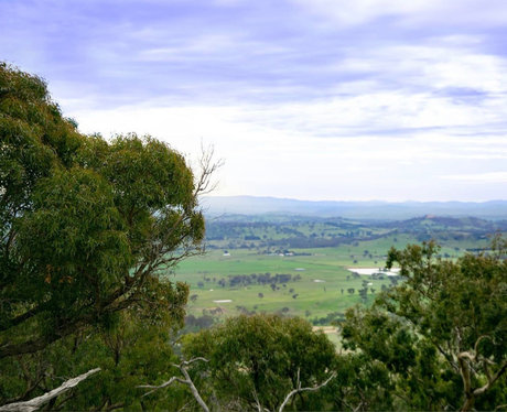 fans de monstres uniquement nus exclusifs image