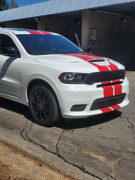 Matt Robinson modèle images