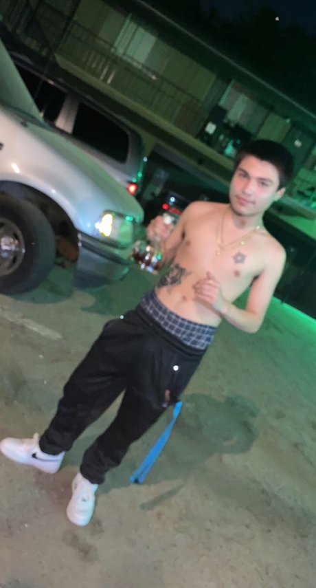 raleigh modèle de haute qualité galeries