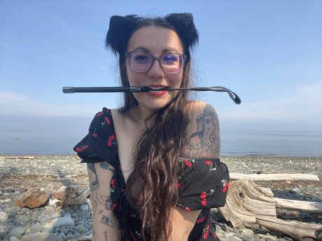 k i t t e n_ étoile de l'art images