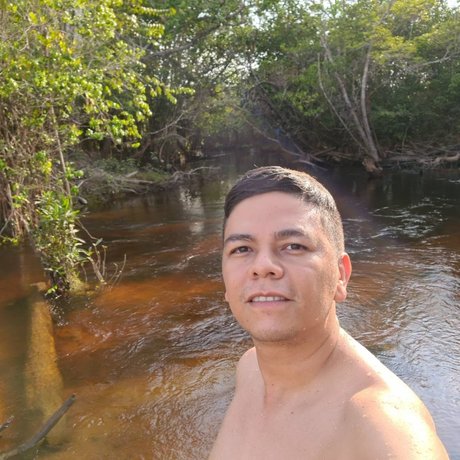 Roger Silva art star du porno collection