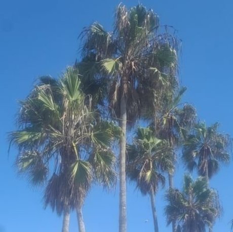 Wood meilleure star du porno photo