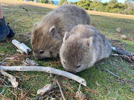 fans publics de la bbc uniquement meilleur hd img