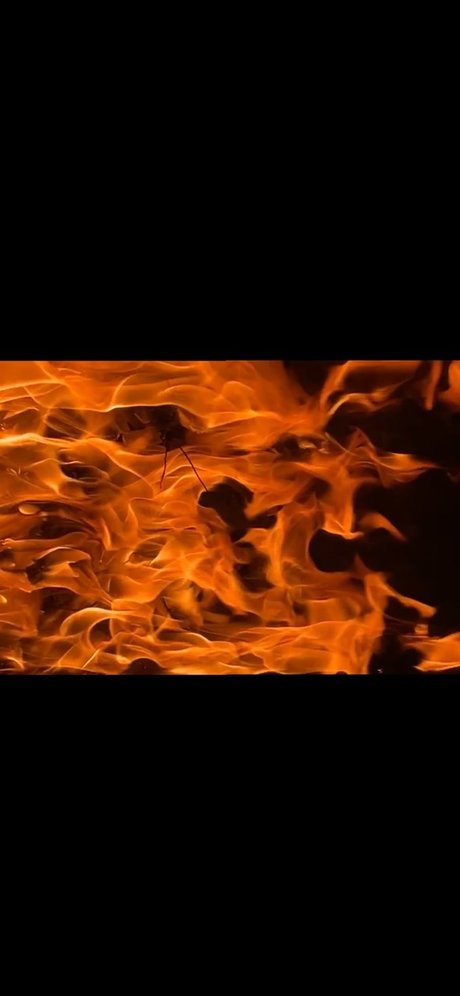 Ecchi Princess_ xxx star du porno images