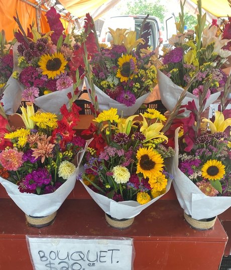 quinnnnx no ppv art modèle photo