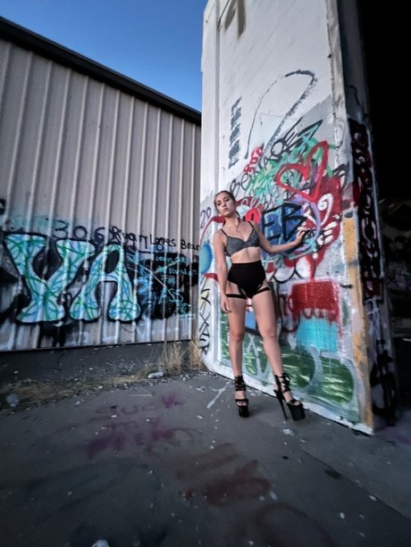 Hazy Toker étoile chaude image