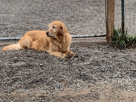 Michael Scott étoile sympa photos