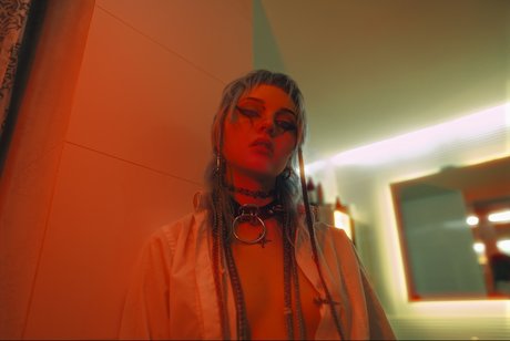 DE VILKAS sexe de star du porno image