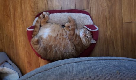 Donnie Bunz étoile magnifique images