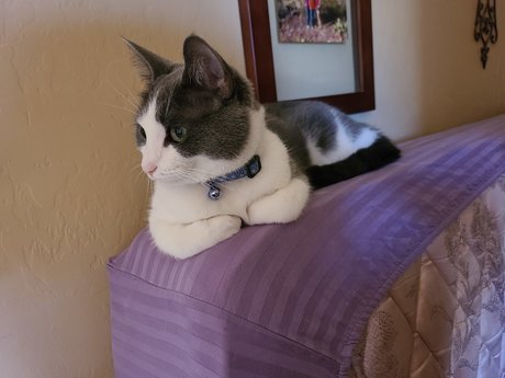 EdenEspi jolie actrice photos