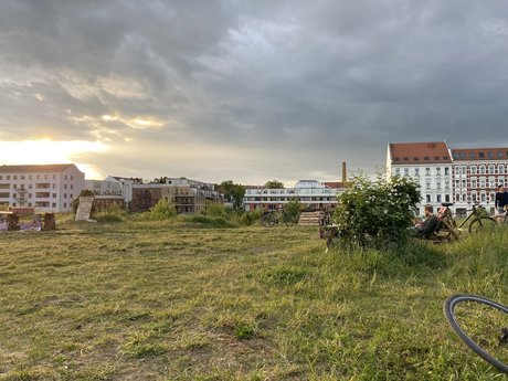 Domcause star du porno collection