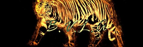 DaDaddy modèle hd img