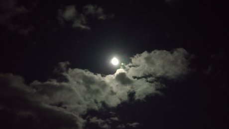 Don Doin_ mannequin des photos