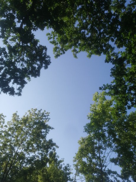 les fans asiatiques les plus sexy sexy en haute qualité galeries