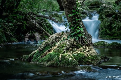 RedRhino art étoile archive