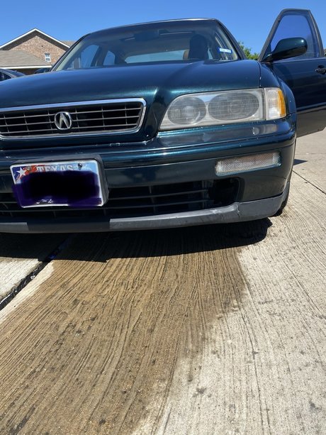 anciens fans uniquement jolie et gratuite collection