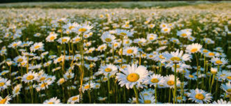 grands et plantureux onlyfans meilleur porno archive