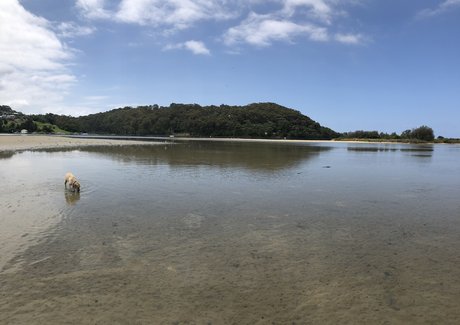 Reece Lowe actrice exclusive photo