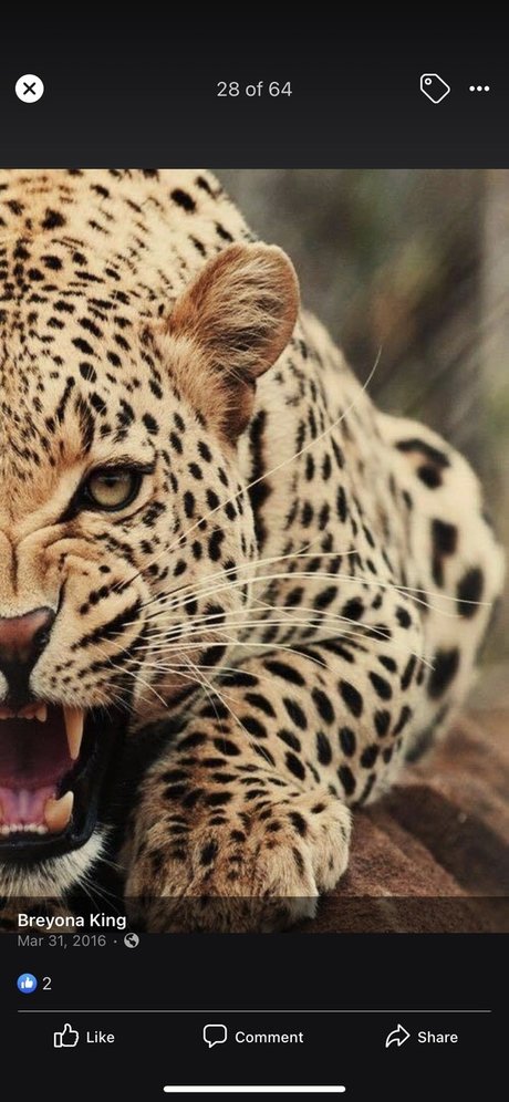 footjob pour ados uniquementfans nus chauds des photos