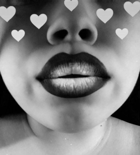 Rosa Bell étoile hd collection