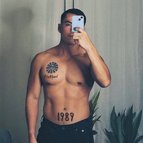 rom n alejandro modèle gratuit archive