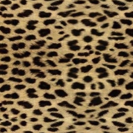 Rock Bitch modèle sympa image