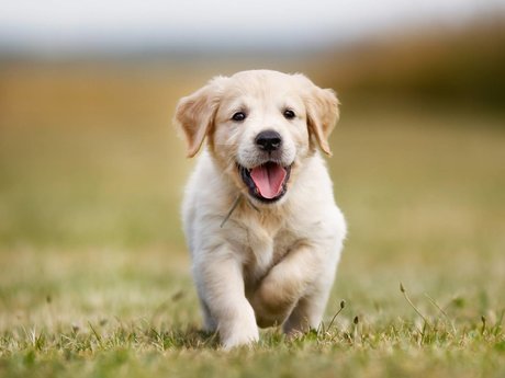 RobinKh sexe star du porno archive