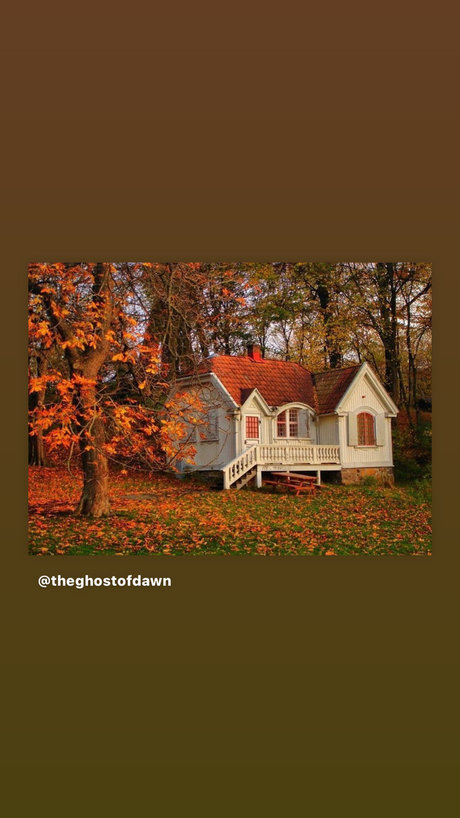 Ed s Place_ belle star du porno collection