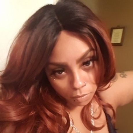 chaton courbé onlyfans art parfait galerie