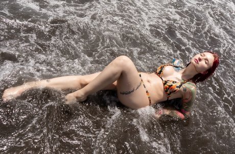 pawg ébène uniquementfans meilleur exclusif img