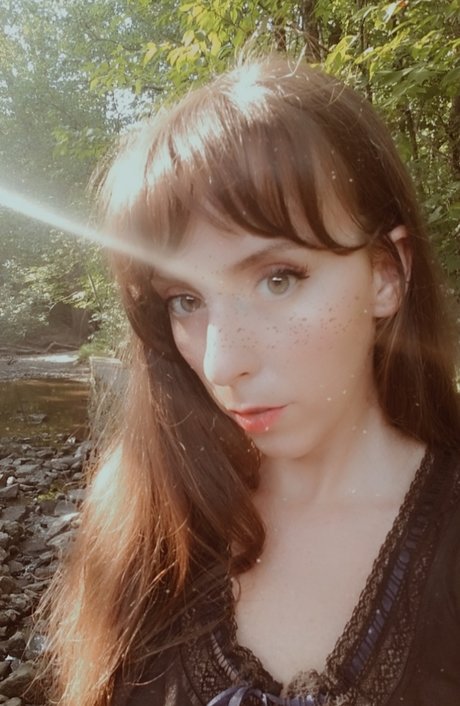 _rue_ étoile parfaite galerie