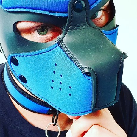 Sunshine live Edition star du porno gratuite galeries