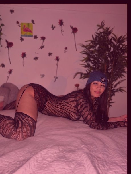 MadamRosex belle star du porno collection