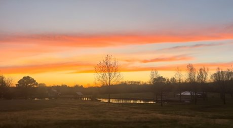 Rose Ink actrice exclusive images