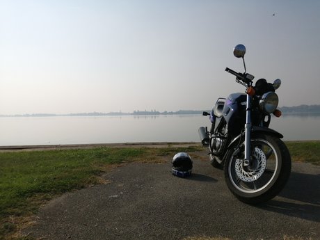 Samuel Marton star du sexe image