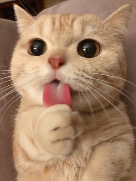 SAME_ jolie actrice galeries