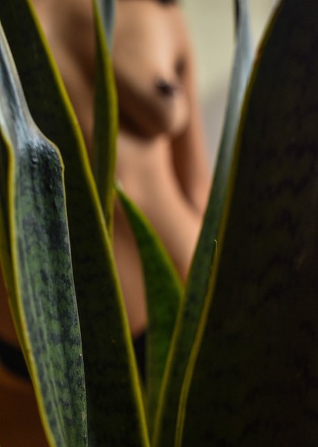 Sailor Meow étoile érotique des photos